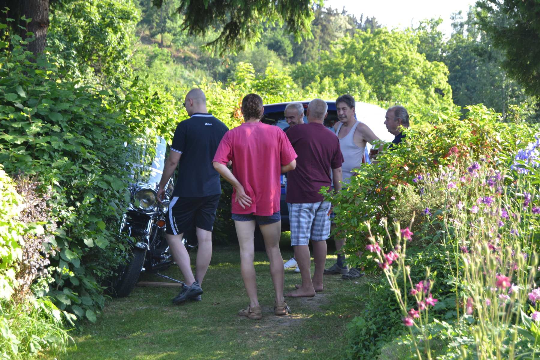 padesát 184 6.6. 2015