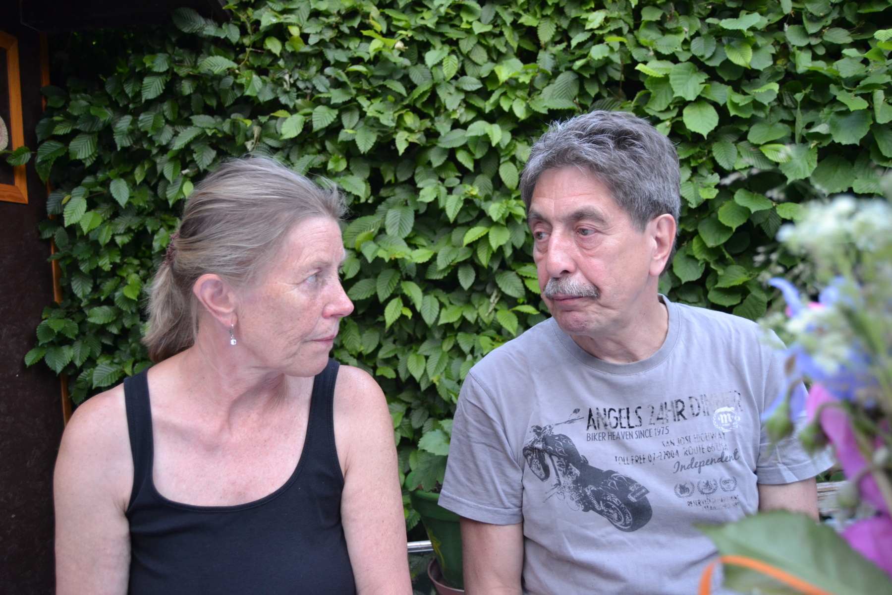 padesát 258 6.6. 2015