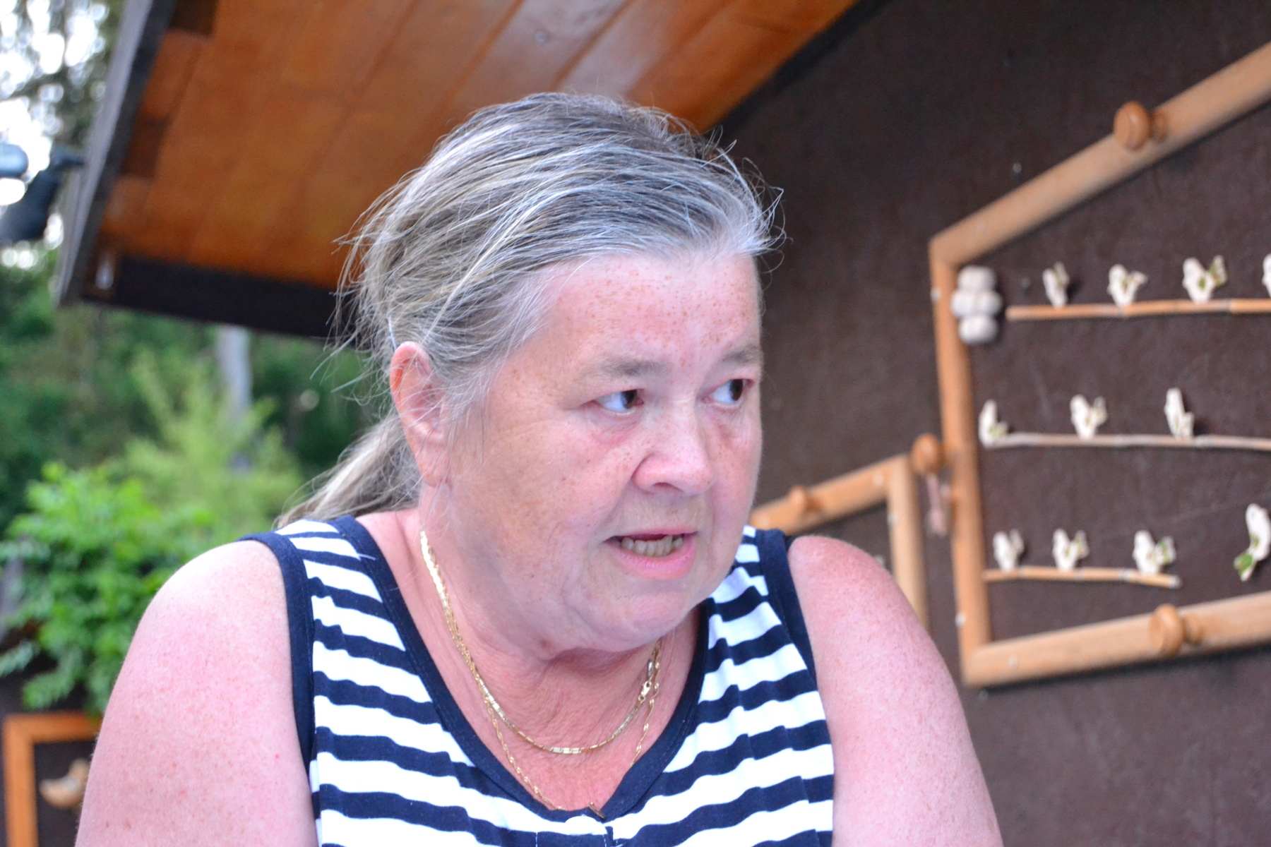 padesát 260 6.6. 2015